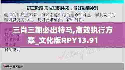 三肖三期必出特马,高效执行方案_文化版RPY13.91