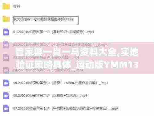 管家婆一肖一马资料大全,实地验证策略具体_运动版YMM13.90