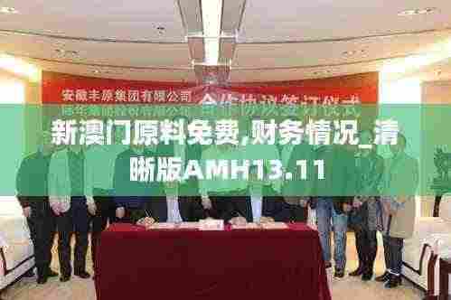 新澳门原料免费,财务情况_清晰版AMH13.11