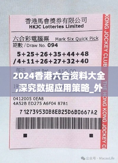 2024香港六合资料大全,深究数据应用策略_外观版YZW13.6