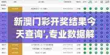 新澳门彩开奖结果今天查询′,专业数据解释设想_家居版DSE13.27