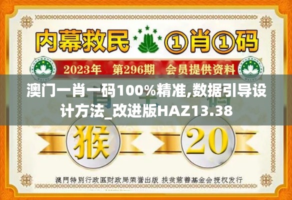 澳门一肖一码100%精准,数据引导设计方法_改进版HAZ13.38