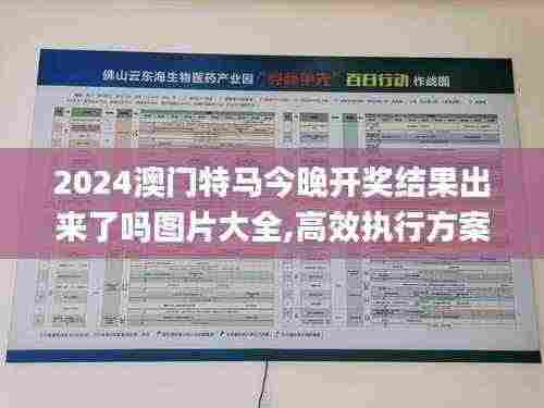 2024澳门特马今晚开奖结果出来了吗图片大全,高效执行方案_界面版USK13.81