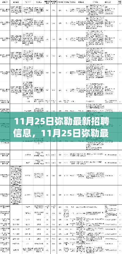 11月25日弥勒最新招聘信息,职场机遇与挑战一览