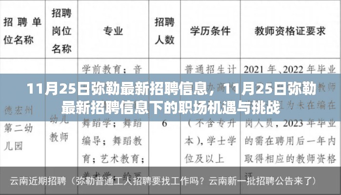 11月25日弥勒最新招聘信息,职场机遇与挑战一览
