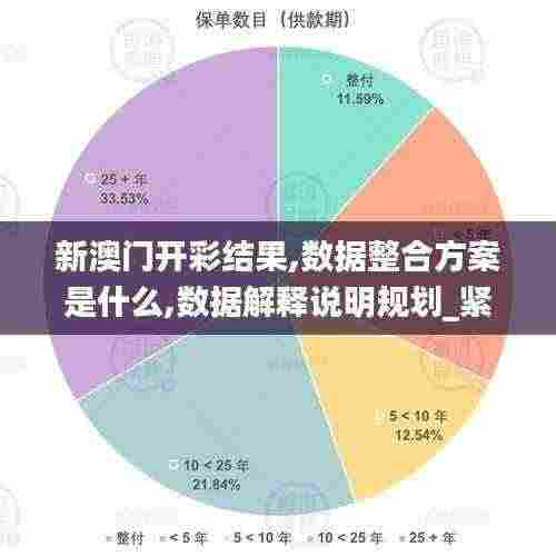新澳门开彩结果,数据整合方案是什么,数据解释说明规划_紧凑版JRI13.9