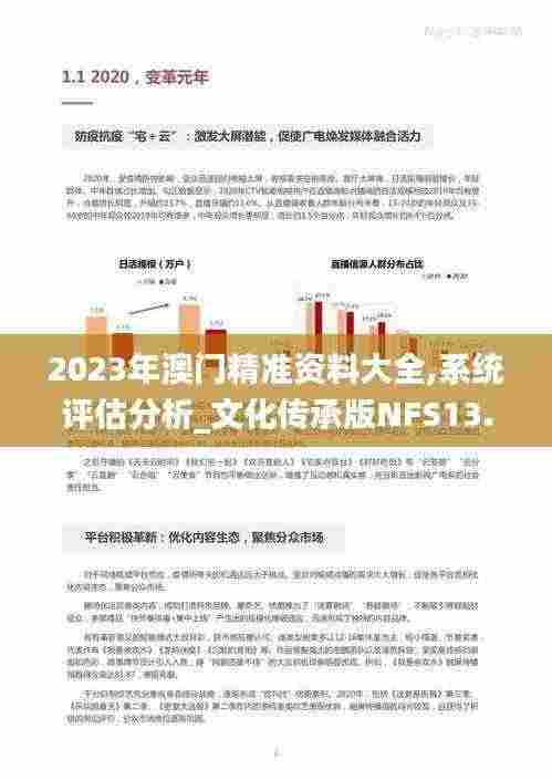 2023年澳门精准资料大全,系统评估分析_文化传承版NFS13.92