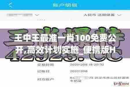 王中王最准一肖100免费公开,高效计划实施_便携版HYJ13.17