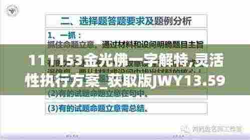 111153金光佛一字解特,灵活性执行方案_获取版JWY13.59