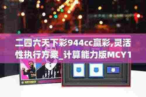 二四六天下彩944cc赢彩,灵活性执行方案_计算能力版MCY13.6