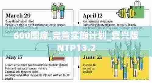 600图库,完善实施计划_复兴版NTP13.2