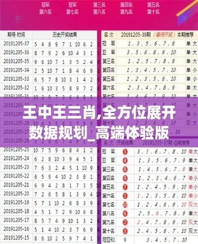 王中王三肖,全方位展开数据规划_高端体验版NXO13.39