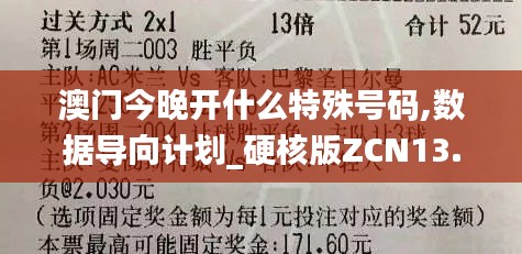 澳门今晚开什么特殊号码,数据导向计划_硬核版ZCN13.13