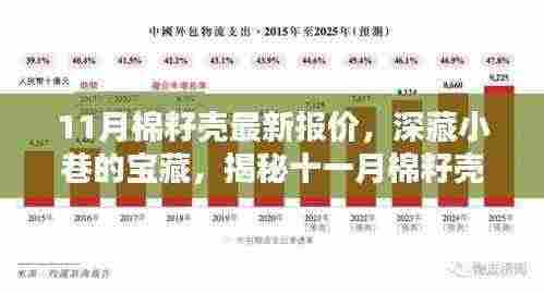 揭秘深藏小巷的宝藏,十一月棉籽壳最新报价的独特风情