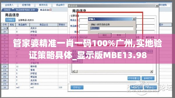 管家婆精准一肖一码100%广州,实地验证策略具体_显示版MBE13.98