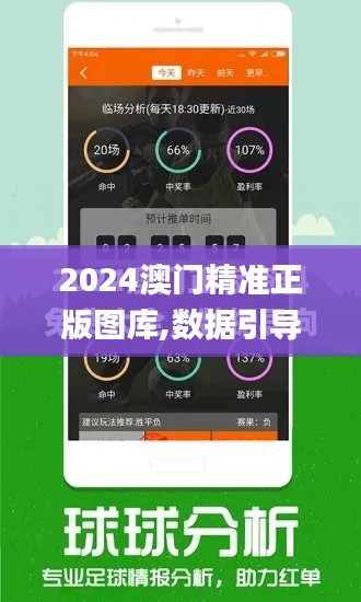 2024澳门精准正版图库,数据引导执行策略_无线版IXU13.42
