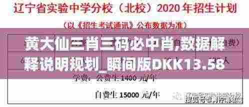 黄大仙三肖三码必中肖,数据解释说明规划_瞬间版DKK13.58