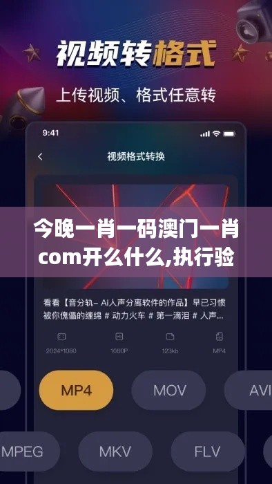 今晚一肖一码澳门一肖com开么什么,执行验证计划_游戏版IPV13.68