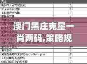 澳门黑庄克星一肖两码,策略规划_旗舰设备版AME13.16