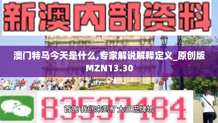澳门特马今天是什么,专家解说解释定义_原创版MZN13.30