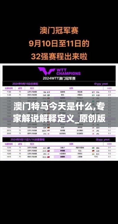 澳门特马今天是什么,专家解说解释定义_原创版MZN13.30