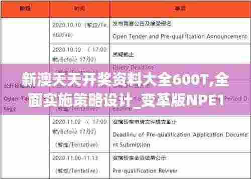 新澳天天开奖资料大全600T,全面实施策略设计_变革版NPE13.5