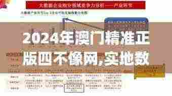 2024年澳门精准正版四不像网,实地数据评估分析_可靠版WSM13.35