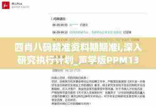 四肖八码精准资料期期准i,深入研究执行计划_声学版PPM13.40