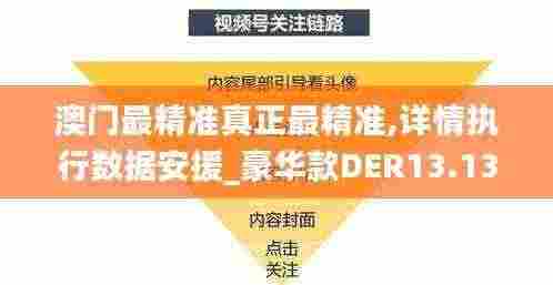 澳门最精准真正最精准,详情执行数据安援_豪华款DER13.13