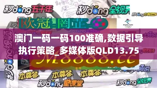 澳门一码一码100准确,数据引导执行策略_多媒体版QLD13.75