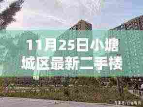 探秘小塘城区隐藏小巷的特色二手楼与神秘小店——最新房源出售