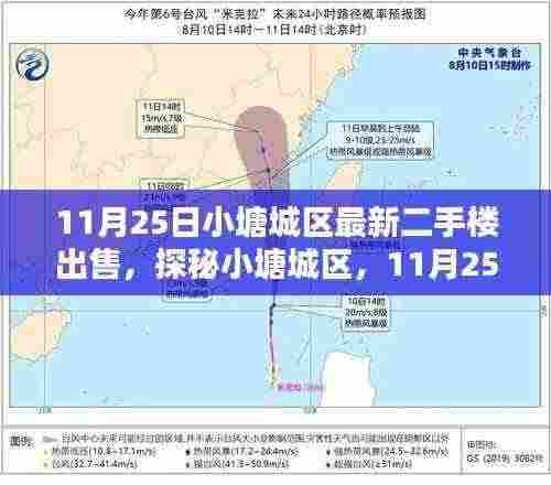 探秘小塘城区隐藏小巷的特色二手楼与神秘小店——最新房源出售