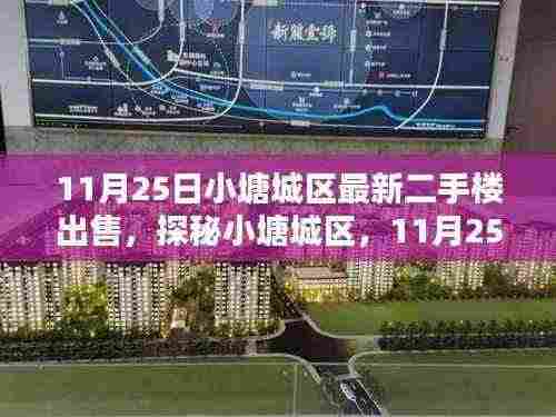 探秘小塘城区隐藏小巷的特色二手楼与神秘小店——最新房源出售