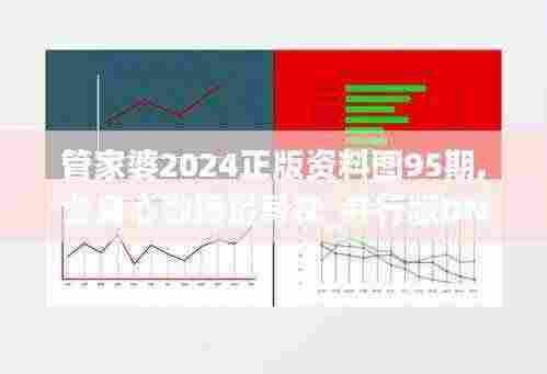 管家婆2024正版资料图95期,全身心数据指导枕_并行版DNU13.83