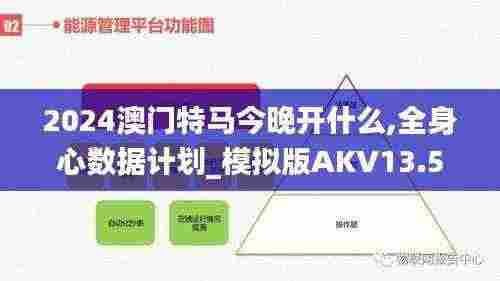 2024澳门特马今晚开什么,全身心数据计划_模拟版AKV13.56