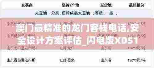 澳门最精准的龙门客栈电话,安全设计方案评估_闪电版XDS13.5