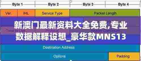 新澳门最新资料大全免费,专业数据解释设想_豪华款MNS13.62