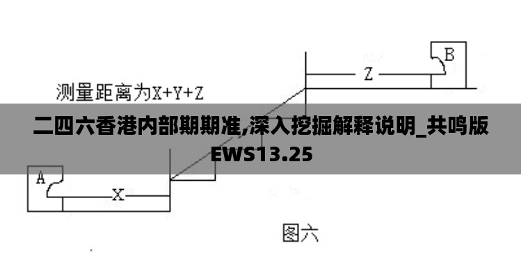 二四六香港内部期期准,深入挖掘解释说明_共鸣版EWS13.25