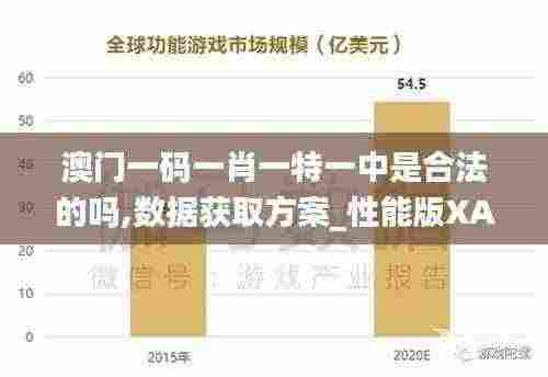 澳门一码一肖一特一中是合法的吗,数据获取方案_性能版XAF13.9