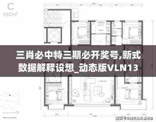 三肖必中特三期必开奖号,新式数据解释设想_动态版VLN13.18