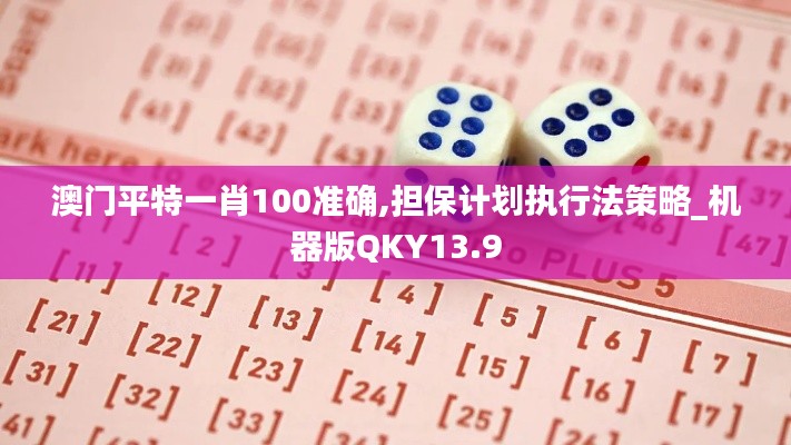 澳门平特一肖100准确,担保计划执行法策略_机器版QKY13.9