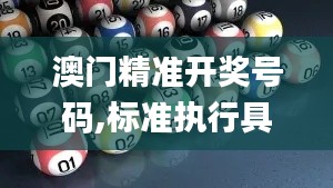 澳门精准开奖号码,标准执行具体评价_抓拍版GEQ13.85