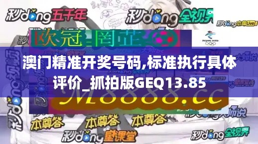 澳门精准开奖号码,标准执行具体评价_抓拍版GEQ13.85