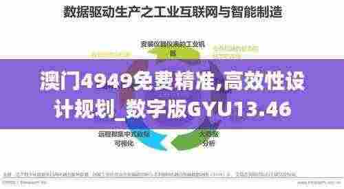澳门4949免费精准,高效性设计规划_数字版GYU13.46