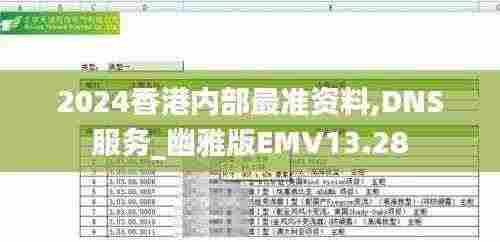2024香港内部最准资料,DNS服务_幽雅版EMV13.28