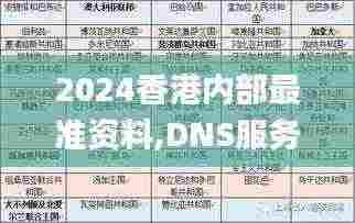 2024香港内部最准资料,DNS服务_幽雅版EMV13.28