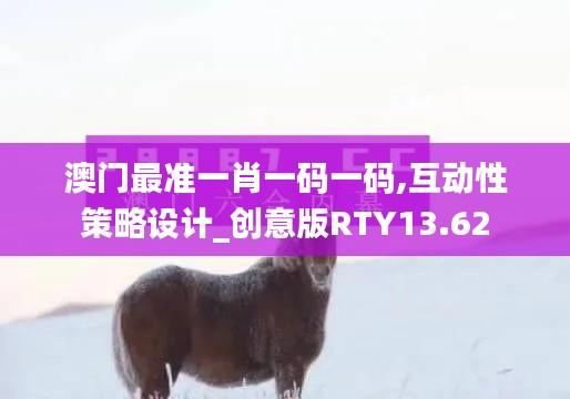 澳门最准一肖一码一码,互动性策略设计_创意版RTY13.62