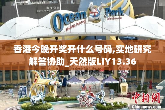 香港今晚开奖开什么号码,实地研究解答协助_天然版LIY13.36