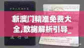新澳门精准免费大全,数据解析引导_通行证版ZEA13.32
