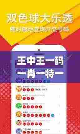 王中王一码一肖一特一中1,高效执行方案_专属版BFZ13.27